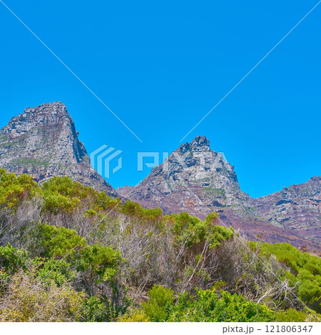 Famous mountain hiking destination with copy space, green forest trees and woods in Cape Town, South Africa. Landscape view of the Twelve Apostles Mountains with blue sky in a serene nature reserve 121806347
