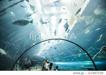 View of the fishes at the Underwater Tunnel at the National Museum of Marine Biology and Aquarium in Kenting National Park of Pingtung, Taiwan. View of the fishes at the Underwater Tunnel at the National Museum of Marine Biology and Aquarium in Kenting National Park of Pingtung, Taiwan. 121807230