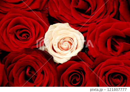 Rose bouquet Rose bouquet 121807777