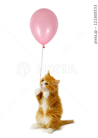 Kitten and balloon Kitten and balloon 121808533