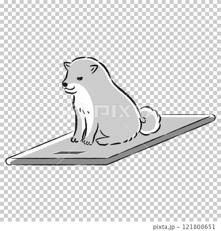 体重計に乗る犬のイラスト 121808651