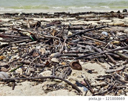 A beach heavily littered with wood and plastic 121808669