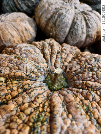 Various types of pumpkins are stacked on top of each other Various types of pumpkins are stacked on top of each other 121809802