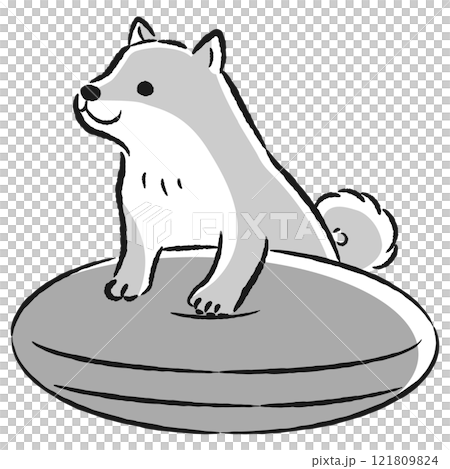 体幹トレーニングをする犬のイラスト 121809824