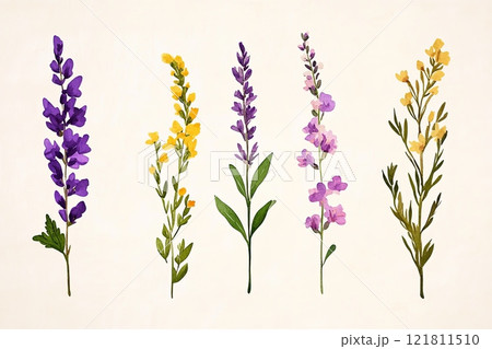 Botanical illustration showcasing vibrant wildflowers in lavender, peach, mustard yellow, and soft green tones Botanical illustration showcasing vibrant wildflowers in lavender, peach, mustard yellow, and soft green tones 121811510