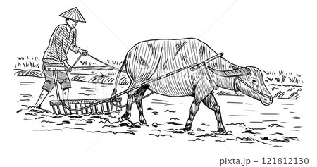 Hand drawn Thai famer and buffalo in paddy field Hand drawn Thai famer and buffalo in paddy field 121812130