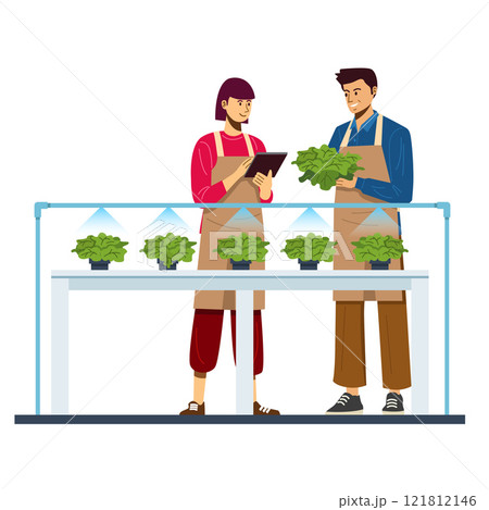 Agriculture technology, couple farmers checking vegetables in the glasshouse Agriculture technology, couple farmers checking vegetables in the glasshouse 121812146