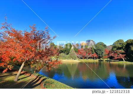 【東京都】快晴のシンメトリーな小石川後楽園の紅葉 【東京都】快晴のシンメトリーな小石川後楽園の紅葉 121812318