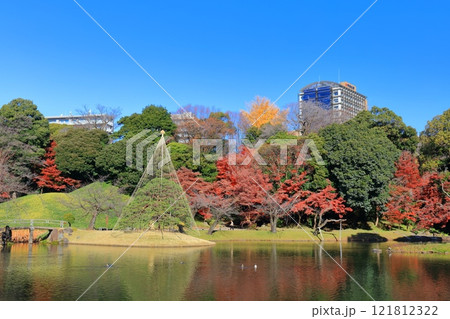 【東京都】快晴のシンメトリーな小石川後楽園の紅葉 【東京都】快晴のシンメトリーな小石川後楽園の紅葉 121812322