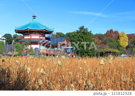 【東京都】快晴の不忍池辯天堂(上野恩賜公園) 【東京都】快晴の不忍池辯天堂(上野恩賜公園) 121812328