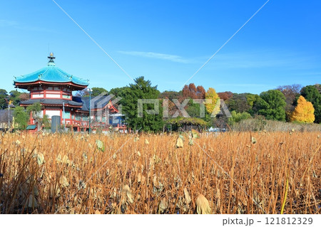 【東京都】快晴の不忍池辯天堂(上野恩賜公園) 【東京都】快晴の不忍池辯天堂(上野恩賜公園) 121812329