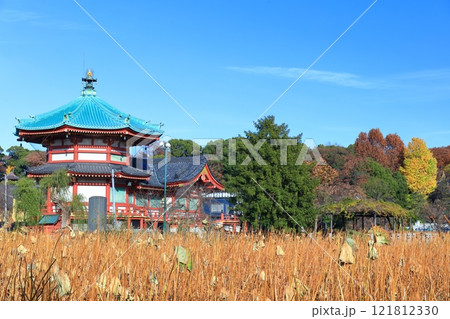 【東京都】快晴の不忍池辯天堂(上野恩賜公園) 【東京都】快晴の不忍池辯天堂(上野恩賜公園) 121812330