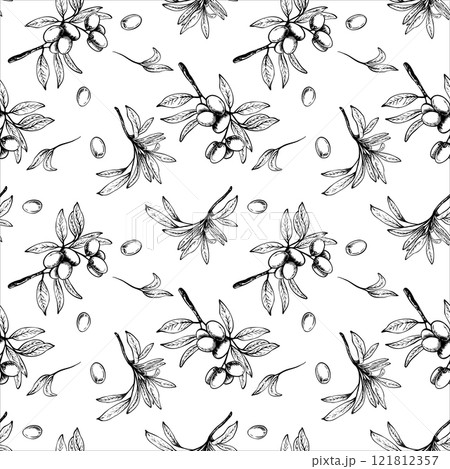 Olive tree branch with leaves and berries fruit vector seamless pattern. Black and white linear drawing hand drawn illustration. Botanical clipart for fabric, wallpaper print. Isolated from background 121812357