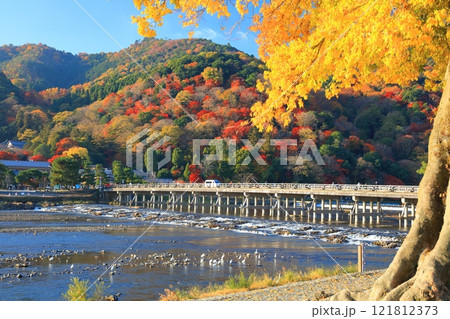 【京都府】快晴の嵐山 渡月橋の紅葉 121812373