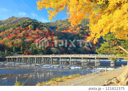 【京都府】快晴の嵐山 渡月橋の紅葉 121812375