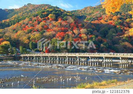 【京都府】快晴の嵐山 渡月橋の紅葉 【京都府】快晴の嵐山 渡月橋の紅葉 121812376