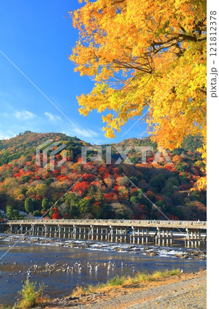 【京都府】快晴の嵐山 渡月橋の紅葉 【京都府】快晴の嵐山 渡月橋の紅葉 121812378