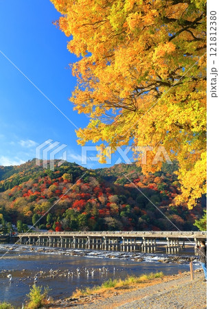 【京都府】快晴の嵐山 渡月橋の紅葉 【京都府】快晴の嵐山 渡月橋の紅葉 121812380