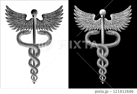 Caduceus Medical Asclepius Rod Doctor Symbol Icon 121812686