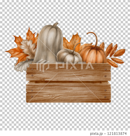 Silver and orange pumpkins in a vintage wooden box with fall leaves of maple,mountain ash and oak as a symbol of the harvest festival,thanksgiving.Watercolor illustration on transparent background Silver and orange pumpkins in a vintage wooden box with fall leaves of maple,mountain ash and oak as a symbol of the harvest festival,thanksgiving.Watercolor illustration on transparent background 121813874