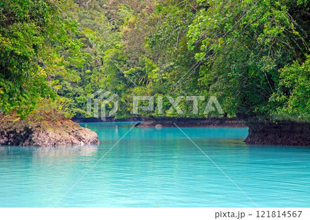 Tropical lagoon with turquoise water and lush rainforest in the background Tropical lagoon with turquoise water and lush rainforest in the background 121814567
