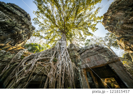 カンボジア アンコール遺跡群 タ・プローム遺跡 カンボジア アンコール遺跡群 タ・プローム遺跡 121815457