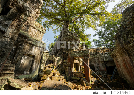 カンボジア　アンコール遺跡群　タ・プローム遺跡 121815460