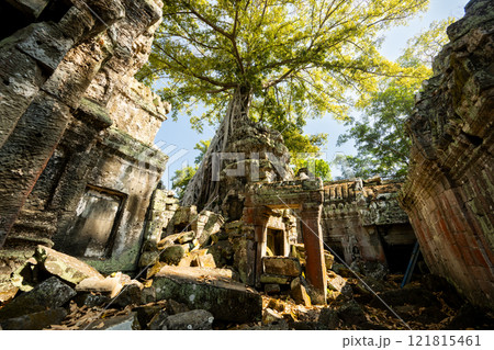 カンボジア アンコール遺跡群 タ・プローム遺跡 カンボジア アンコール遺跡群 タ・プローム遺跡 121815461