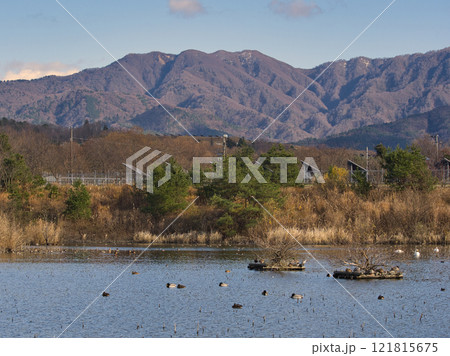 初冬のあがの池と五頭山 初冬のあがの池と五頭山 121815675