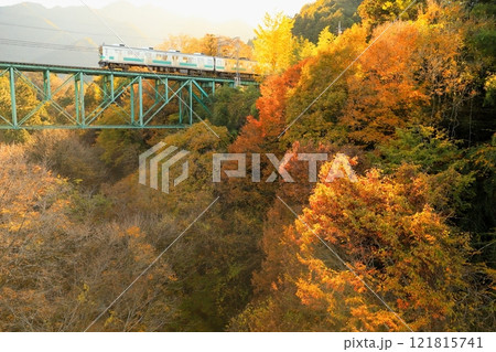 秩父鉄道「夕陽に照らされ紅葉した山間部を走る電車」 秩父鉄道「夕陽に照らされ紅葉した山間部を走る電車」 121815741