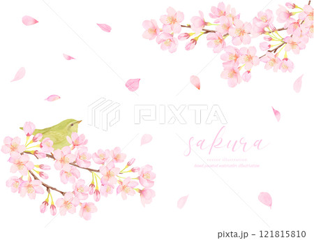 鶯と桜の花のかわいいイラスト素材 鶯と桜の花のかわいいイラスト素材 121815810