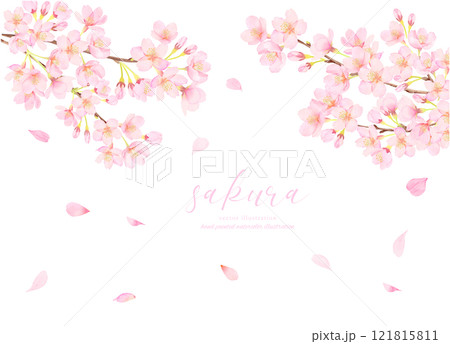 満開の桜のベクターイラスト背景 121815811