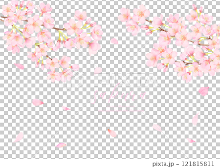 満開の桜のベクターイラスト背景 121815811