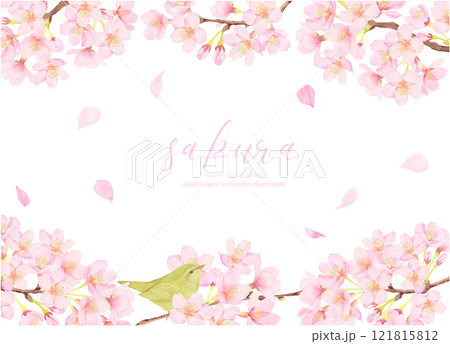 鶯と桜の花のかわいい背景イラスト素材 121815812