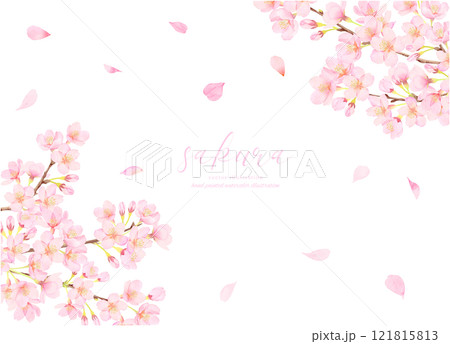 満開の桜のベクターイラスト背景 満開の桜のベクターイラスト背景 121815813
