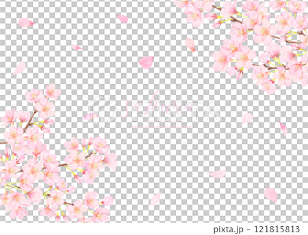 櫻花盛開的向量圖背景 121815813