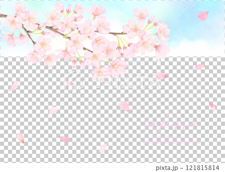 櫻花和藍天背景素材 121815814