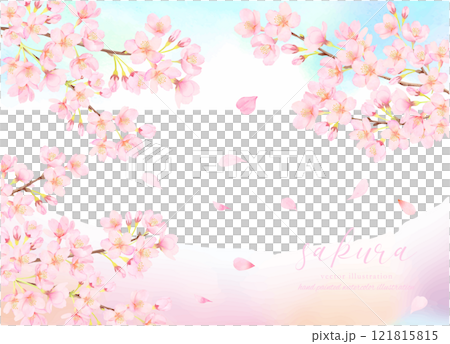 Cherry blossoms and blue sky background material 121815815