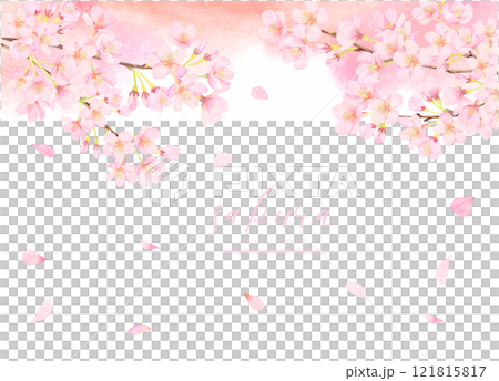 盛開的櫻花向量插畫背景素材 121815817