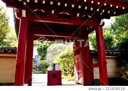 鎌倉市 光則寺山門と境内 鎌倉市 光則寺山門と境内 121816118