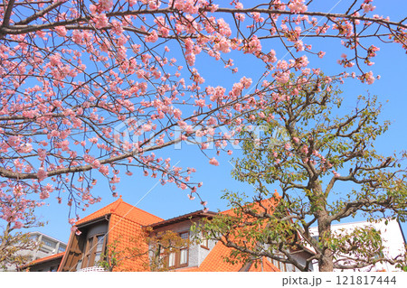 愛知県名古屋市、文化のみち二葉館と桜の風景 121817444