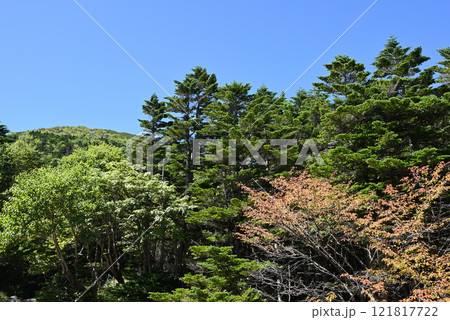 蓼科登山、長野県 蓼科登山、長野県 121817722