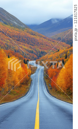 Car drive on autumn road in beautiful nature. Landscape on the highway in forest 121817825
