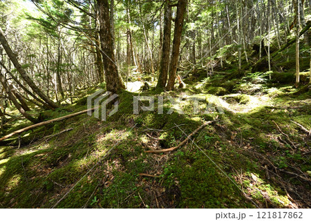 蓼科登山、長野県 蓼科登山、長野県 121817862