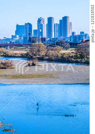 日本の東京都市景観1月9日…川崎・武蔵小杉駅前のタワーマンション群や多摩川、水鳥などを望む=令和7年 日本の東京都市景観1月9日…川崎・武蔵小杉駅前のタワーマンション群や多摩川、水鳥などを望む=令和7年 121818502