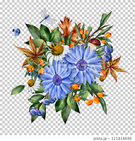 Chamomile and rudbeckia. Watercolor floral composition. Botanical illustration on white background with blueberry, sea buckthorn, dry leaves, bumblebee. For cards, textiles, design 121818698