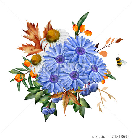 Chamomile and rudbeckia. Watercolor floral composition. Botanical illustration on white background with blueberry, sea buckthorn, dry leaves, bumblebee. For cards, textiles, design 121818699