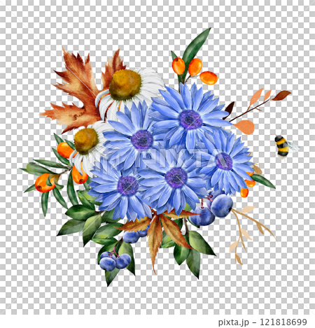 Chamomile and rudbeckia. Watercolor floral composition. Botanical illustration on white background with blueberry, sea buckthorn, dry leaves, bumblebee. For cards, textiles, design 121818699