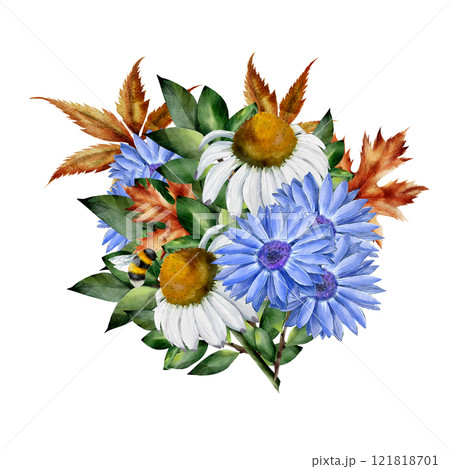 Chamomile and rudbeckia. Watercolor floral composition. Botanical illustration on white background with dry leaves, bumblebee. For cards, textiles, design 121818701