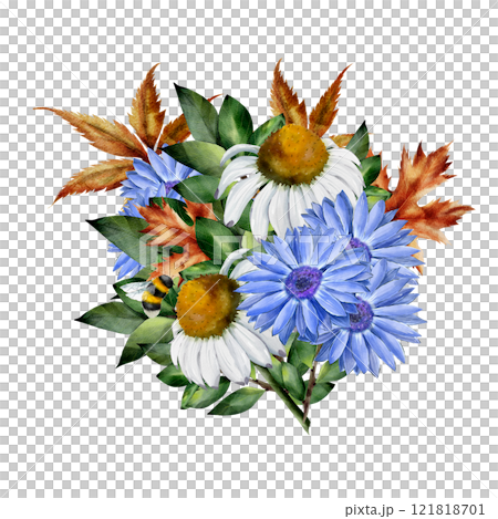 Chamomile and rudbeckia. Watercolor floral composition. Botanical illustration on white background with dry leaves, bumblebee. For cards, textiles, design 121818701